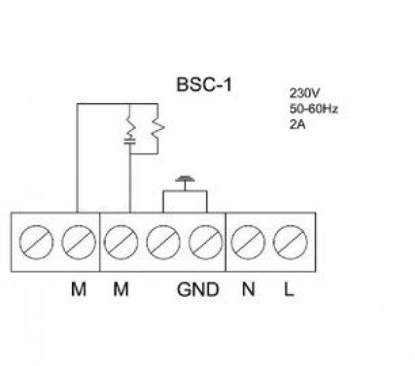 BSC 1 1