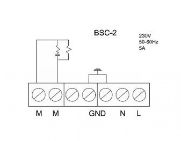 BSC 2 1