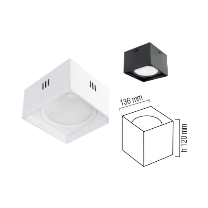 SANDRA SQ10 1