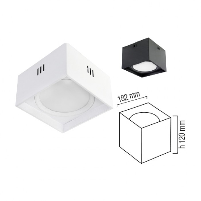 SANDRA SQ15 1