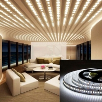 LED стрічка 12В ST-12-2835-240-CW-20 6000-6500K 20Вт 2300Лм Білий Холодний IP20 10мм