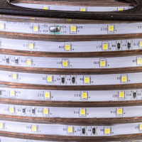 Led стрічка 220В 12-W 48W2835-220В-5Вт миготлива Білий Холодний 7000-8000К IP65 10х6мм