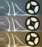 LED стрічка 24В СОВ320 12Вт 1200Лм Нейтральний 3800-4300K IP20 8мм