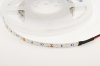 LED стрічка 12В 3528-60 ESTAR Elit 35/60W-NWP 4,8Вт 540Лм Білий Холодний 5500-6000К IP20 8мм