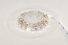 LED стрічка 12В 3528-60 ESTAR Elit 35/60W-NWP 4,8Вт 540Лм Білий Холодний 5500-6000К IP20 8мм