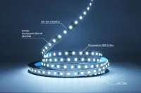 320022 LED стрічка 12В 2835-120 Series S 9,6Вт 950Лм Білий Ультрахолодний 9000-10000К IP20 8мм