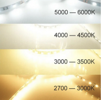 LED стрічка 12В 2835-120 Series SG 10Вт 1300Лм Білий Нейтральний 3800-4300K IP20 5мм