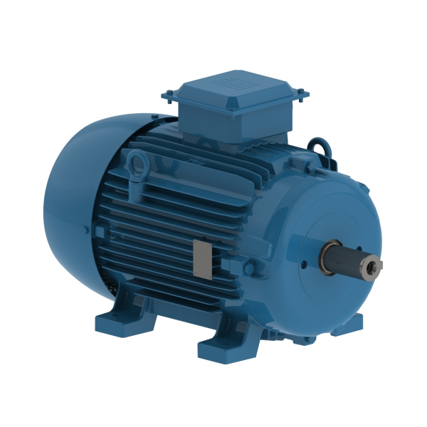 Електродвигун W20 0.25кВт 6P 80 3Ph 220-380В трьохфазний - TEFC - B3T