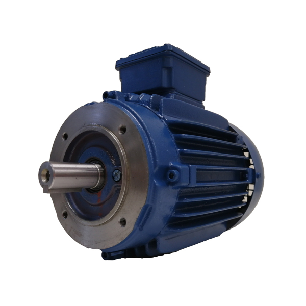 Електродвигун W20 0.75кВт 6P 90S/L 3Ph 220-380В трьохфазний - TEFC - B14T