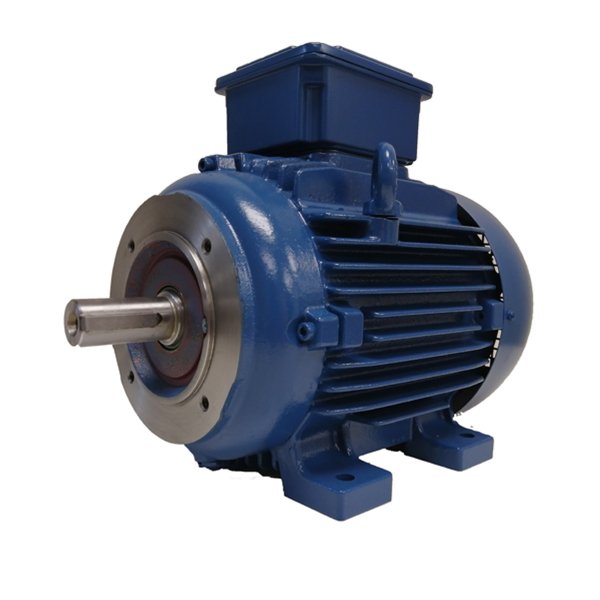 Електродвигун W20 5.5кВт 4P S132S 3Ph 380-660В трьохфазний - TEFC - B34T